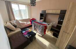 apartament cu 1 camera, 32 mp, mobilat utilat, zona Porii.