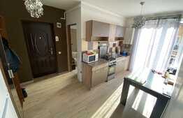 apartament cu 1 camera, 32 mp, mobilat utilat, zona Porii.