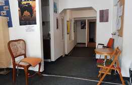 Spatiu comercial, 280 mp, zona cu vad