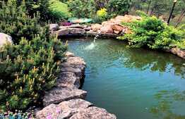 Casa de vis pentru familia ta! Finisata, la cheie, mobilata modern lux, teren 2400 mp!