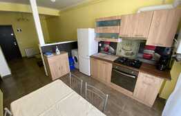 Apartament cu 1 camera, 40 mp, mobilat utilat, zona Urusagului