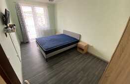 Apartament cu 1 camera, 40 mp, mobilat utilat, zona Urusagului