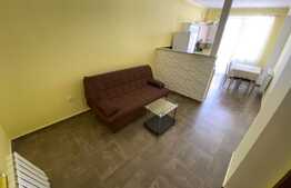 Apartament cu 1 camera, 40 mp, mobilat utilat, zona Urusagului