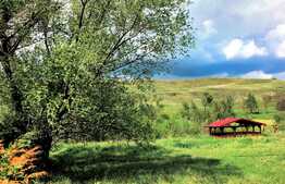 De vanzare casa 150 mp utili, 2500 teren, Exterior Vest