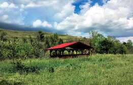 De vanzare casa 150 mp utili, 2500 teren, Exterior Vest