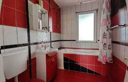 Investitie sigura! Apartament cu gradina, preluare chiriasi, zona strazii Eroilor!