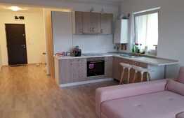 Apartament cu 2 camere, 54 mp, zona strazii Brancusi