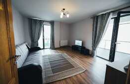 Apartament cu 2 camere, 60 mp, decomandat, mobilat modern, parcare, zona strazii Dunarii