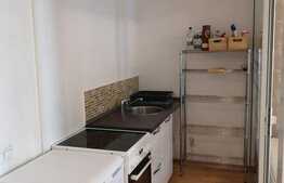 Apartament 2 camere decomandate, 47mp, zona FSEGA