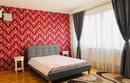Casa indivituala, 4 camere, 350mp curte, zona strazii Dumitru Mocanu
