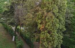 Daca vrei apartamentul perfect pentru familia ta, arunca o privire aici!