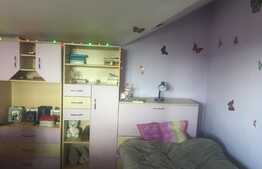 De vanzare casa individuala 150 mp utili, 735 mp teren, Jucu de Sus