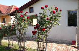 De vanzare casa individuala 150 mp utili, 735 mp teren, Jucu de Sus