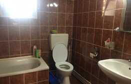 De vanzare casa individuala 150 mp utili, 735 mp teren, Jucu de Sus