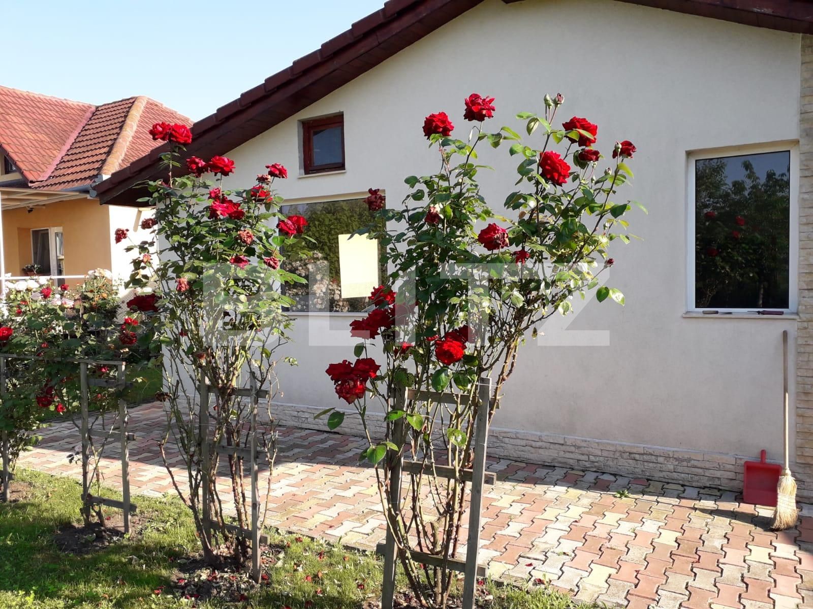 Casa de vânzare 5 camere Exterior Est - 50993CV | BLITZ Cluj-Napoca | Poza20