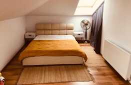 Apartament cochet, 56mp, mansarda! Zona strazii Florilor!