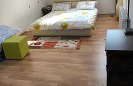 Apartament cochet, 56mp, mansarda! Zona strazii Florilor!
