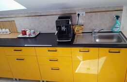 Apartament cochet, 56mp, mansarda! Zona strazii Florilor!