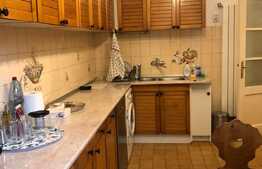 Apartament 5 camere, 160 mp, garaj, zona Republicii