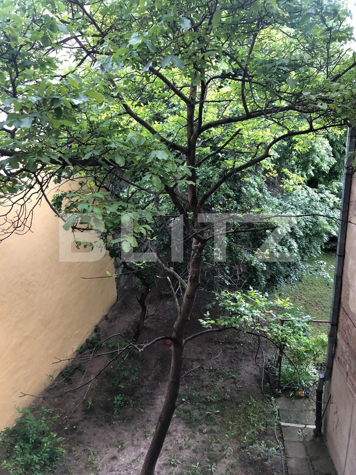 Apartament de închiriat 4+ camere Central - 51034AI | BLITZ Cluj-Napoca | Poza15