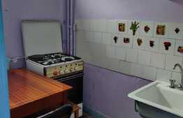 Garsoniera cocheta ideala pentru investitie, 28mp + balcon,etaj intermediar, zona Detunata