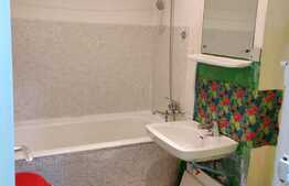 Garsoniera cocheta ideala pentru investitie, 28mp + balcon,etaj intermediar, zona Detunata