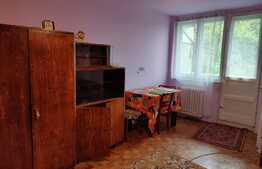 Garsoniera cocheta ideala pentru investitie, 28mp + balcon,etaj intermediar, zona Detunata