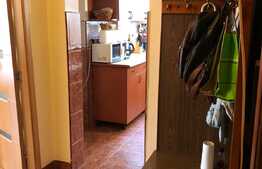 Apartament 2 camere decomandat, 54 MP zona Profi, Grigorescu !