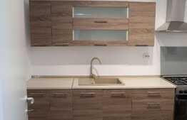 Apartament cu 1 camera, 40 mp, mobilat modern, zona Luminia Residence