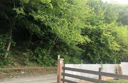 De vanzare casa individuala 180 mp utili, 2700 teren, zona verde, panorama!