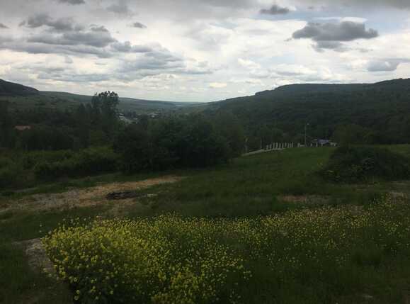 Casa de vânzare 4 camere Feleacu - 51065CV | BLITZ Cluj-Napoca | Poza4