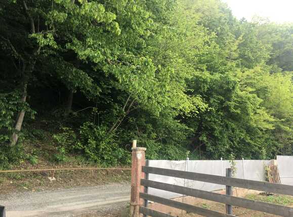 Casa de vânzare 4 camere Feleacu - 51065CV | BLITZ Cluj-Napoca | Poza3