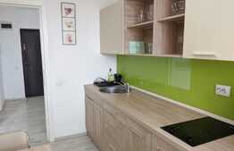 Apartament 1 camera, 42 mp, modern, in zona centrala