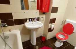 2 cam decomandat, 60mp, garaj, pet friendly, zona strazii Alverna