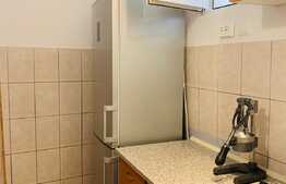 Apartament cu o camera, 35 mp, zona Eftimie Murgu