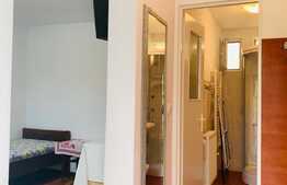 Apartament cu o camera, 35 mp, zona Eftimie Murgu