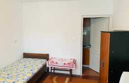 Apartament cu o camera, 35 mp, zona Eftimie Murgu