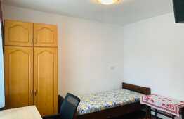 Apartament cu o camera, 35 mp, zona Eftimie Murgu