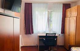 Apartament cu o camera, 35 mp, zona Eftimie Murgu