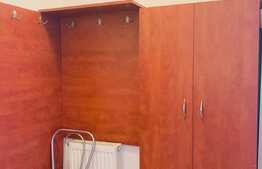 Apartament cu o camera, 35 mp, zona Eftimie Murgu