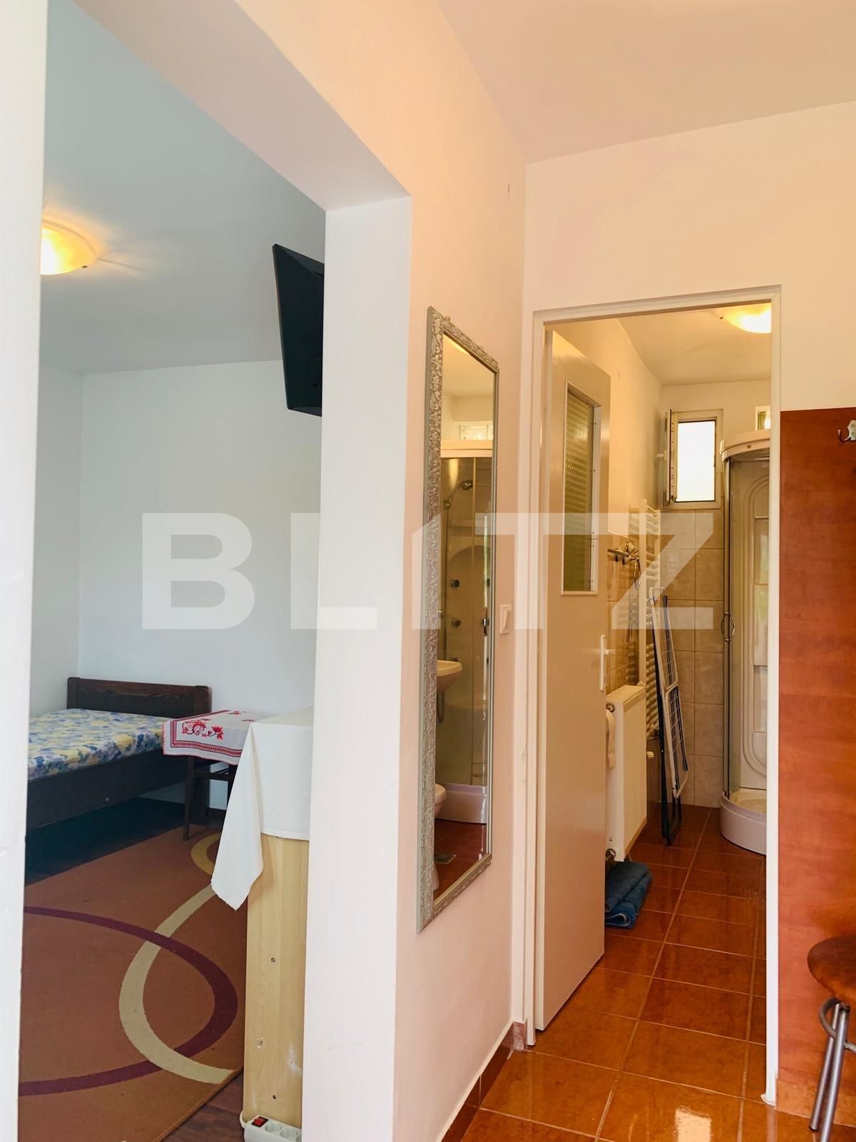 Garsonieră de închiriat Andrei Mureşanu - 51115AI | BLITZ Cluj-Napoca | Poza8