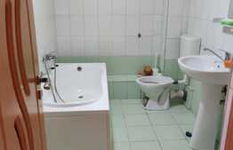 Apartament cu 3 camere, renovabil 54mp + garaj, zona Buna Ziua