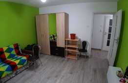 Apartament cu 2 camere, decomandate, renovat recent, zona Mc Donald's
