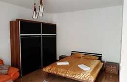 Apartament cu 1 camera, decomandat, 45 mp, zona strazii Salcamului