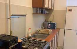 Apartament cu 1 camera, decomandat, 45 mp, zona strazii Salcamului