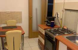 Apartament cu 1 camera, decomandat, 45 mp, zona strazii Salcamului