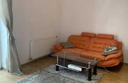 Apartament cu 1 camera, decomandat, 45 mp, zona strazii Salcamului