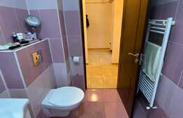 Oportunitate! Apartament cu 2 camere, 57 mp, terasa de 13mp, etaj intermediar, zona Porii