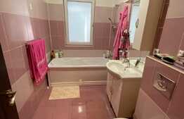 Oportunitate! Apartament cu 2 camere, 57 mp, terasa de 13mp, etaj intermediar, zona Porii