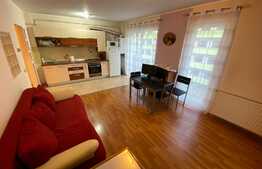 Oportunitate! Apartament cu 2 camere, 57 mp, terasa de 13mp, etaj intermediar, zona Porii